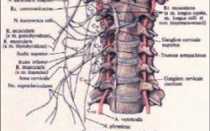 Синдром барре льеу код по мкб 10
