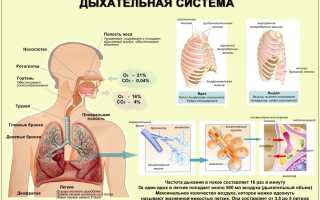 Инфекция дыхательных путей код по мкб 10