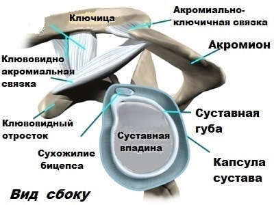 Импиджмент синдром правого плечевого сустава лфк