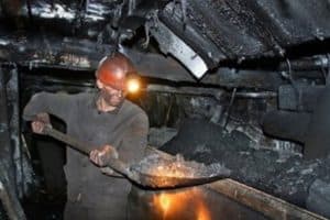 Профессиональная деятельность.