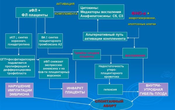 патогенез
