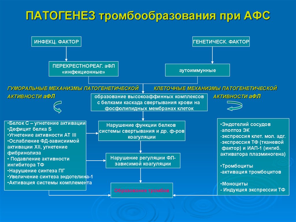 патогенез